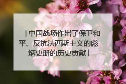 中国战场作出了保卫和平、反抗法西斯主义的彪炳史册的历史贡献